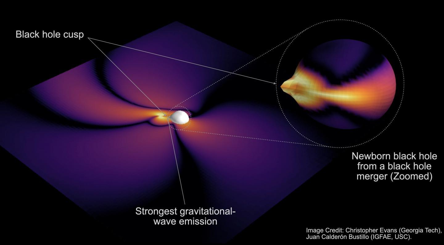 CAPTION Artist's illustration of a black hole cusp.  CREDIT C. Evans; J.C. Bustillo.