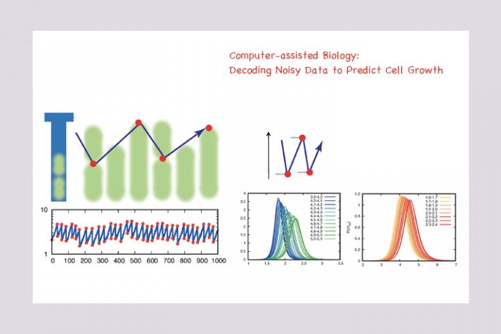 Researchers at The University of Tokyo Institute of Industrial Science use artificial intelligence to predict the size of cells over time without the need for simplifying assumptions, which may lead to a new understanding of microbiology principles and improved drug manufacturing from recombinant bacteria