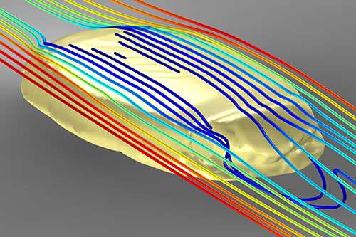 SuperComputer simulation of water flow around a 3-D model of Protocinctus mansillaensis. Credit: I.A. Rahman SuperComputer simulation of water flow around a 3-D model of Protocinctus mansillaensis. Credit: I.A. Rahman