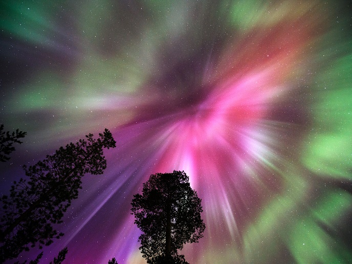 © Erkki Makkonen/Shutterstock.com © Erkki Makkonen/Shutterstock.com