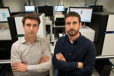 Twin brothers Obi Griffith, Ph.D., and Malachi Griffith, Ph.D. Credit: Robert Boston, Washington University in St. Louis Database of disease genes shows potential drug therapies