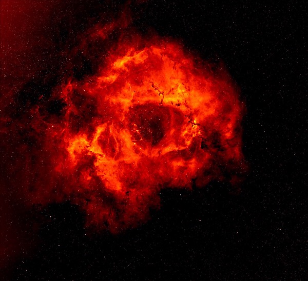 CAPTION Rosette Nebula image is based on data obtained as part of the INT Photometric H-Alpha Survey of the Northern Galactic Plane, prepared by Nick Wright, Keele University, on behalf of the IPHAS Collaboration CREDIT Nick Wright, Keele University CAPTION Rosette Nebula image is based on data obtained as part of the INT Photometric H-Alpha Survey of the Northern Galactic Plane, prepared by Nick Wright, Keele University, on behalf of the IPHAS Collaboration CREDIT Nick Wright, Keele University