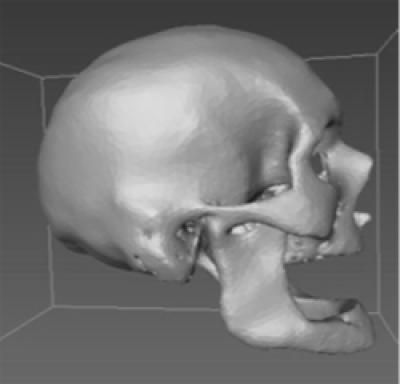 This cranium image was constructed from CT scans. By Amanda Hale Study: CT scans could bolster forensic database to ID unidentified remains