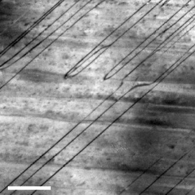 This is an electron microscopic image of an antiferroelectric crystal, with the dark, prominent diagonal lines marking the boundaries. The bar at the bottom left indicates a length of 200 nanometers. Potential future data storage at domain boundaries