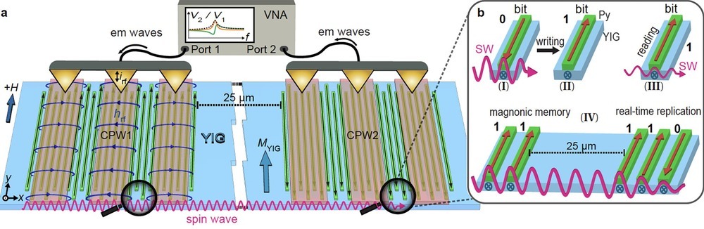 Experimental setup depicting the ferrimagnetic insulator yttrium iron garnet (YIG) wafer with nanomagnetic strips © LMGN EPFL