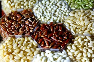 Grains of rice reveal just a tiny proportion of the variation of traits in the over 40,000 different varieties of rice in the world. Grains of rice reveal just a tiny proportion of the variation of traits in the over 40,000 different varieties of rice in the world.