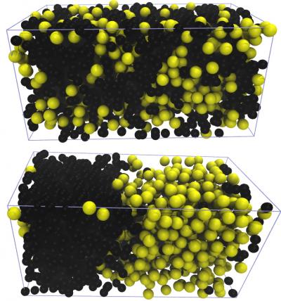 Snapshots from a molecular dynamics simulation with 547 colloids and 1,781 polymers in an elongated simulation box. The upper image shows an equilibrium configuration of the passive system which did not phase-separate. The lower image is the corresponding active system in its steady state which is clearly phase-separated. In both pictures, colloids are shown in yellow and polymers in black. Credit: ill./©: Peter Virnau, JGU Snapshots from a molecular dynamics simulation with 547 colloids and 1,781 polymers in an elongated simulation box. The upper image shows an equilibrium configuration of the passive system which did not phase-separate. The lower image is the corresponding active system in its steady state which is clearly phase-separated. In both pictures, colloids are shown in yellow and polymers in black. Credit: ill./©: Peter Virnau, JGU