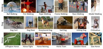 This image shows some of the many variations that the new program has learned for three different concepts. Credit: U of Washington This image shows some of the many variations that the new program has learned for three different concepts. Credit: U of Washington