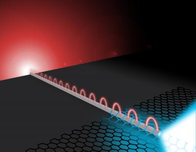 Far-field photons excite silver nanowire plasmons. The wire plasmons propagate to the wire's distal end where they efficiently interact with the two-dimensional material semiconductor molybdenum disulfide (MoS2). The plasmons are absorbed in the MoS2 creating excitons that subsequently decay converting back into propagating photons. Credit: Illustration by Michael Osadciw, Creative Services, University of Rochester Far-field photons excite silver nanowire plasmons. The wire plasmons propagate to the wire's distal end where they efficiently interact with the two-dimensional material semiconductor molybdenum disulfide (MoS2). The plasmons are absorbed in the MoS2 creating excitons that subsequently decay converting back into propagating photons. Credit: Illustration by Michael Osadciw, Creative Services, University of Rochester
