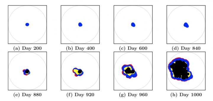 Here are snapshots of a simulated noninvasive tumor growing in the extracellular matrix. Here are snapshots of a simulated noninvasive tumor growing in the extracellular matrix.
