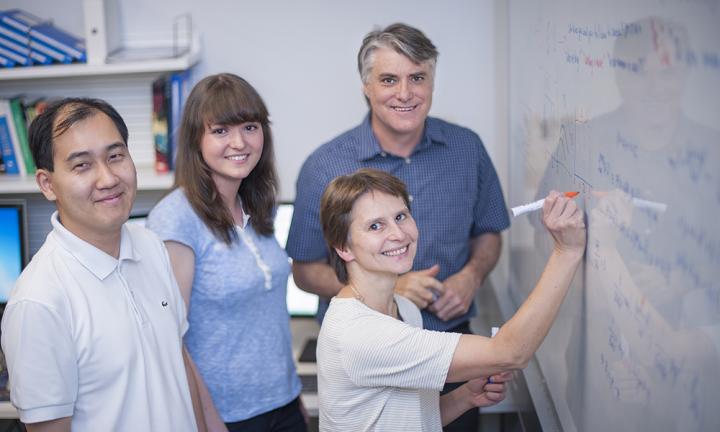 Dr Andrey Kan, Ms Julia Marchingo, Dr Susanne Heinzel and Professor Phil Hodgkin have combined mathematics and laboratory studies to define how the size of the immune response is controlled. Dr Andrey Kan, Ms Julia Marchingo, Dr Susanne Heinzel and Professor Phil Hodgkin have combined mathematics and laboratory studies to define how the size of the immune response is controlled.