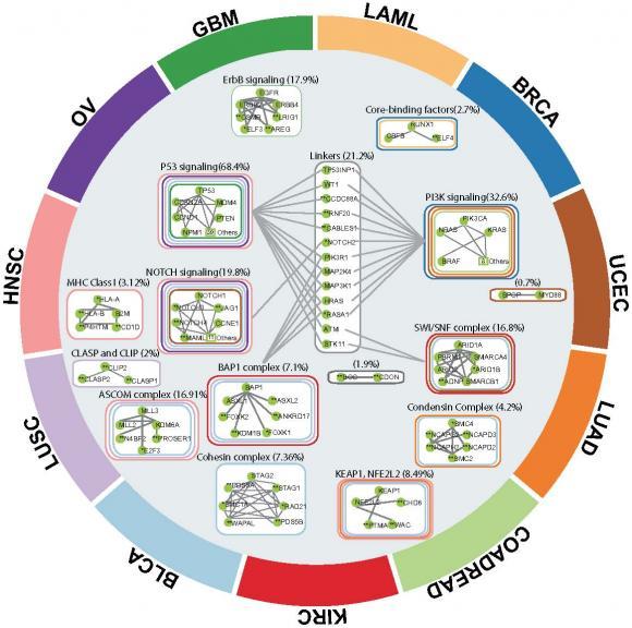 An algorithm called HotNet2 helps define the terrain for complex genetic associations involved in cancer. 'The next step,' says researcher Ben Raphael, 'is translating all of this information from cancer sequencing into clinically actionable decisions.' An algorithm called HotNet2 helps define the terrain for complex genetic associations involved in cancer. 'The next step,' says researcher Ben Raphael, 'is translating all of this information from cancer sequencing into clinically actionable decisions.'