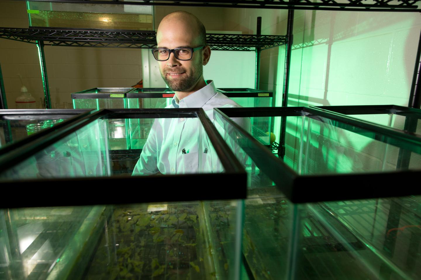 John Drake, an associate professor in the University of Georgia Odum School of Ecology, led a project to develop a new model that determined the Ebola epidemic in Liberia could likely be eliminated by June if the current high rate of hospitalization and vigilance can be maintained. John Drake, an associate professor in the University of Georgia Odum School of Ecology, led a project to develop a new model that determined the Ebola epidemic in Liberia could likely be eliminated by June if the current high rate of hospitalization and vigilance can be maintained.