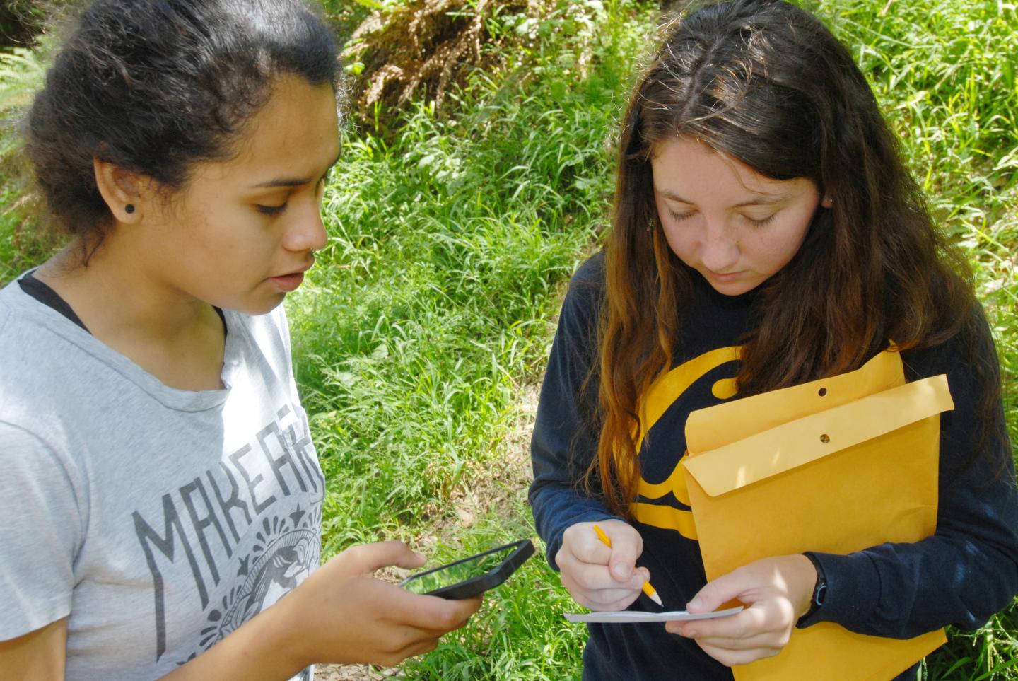 CAPTION Young citizen scientists locate and collect leaves with symptoms of sudden oak death, using the SODmap mobile application. More than 1,600 trained volunteers, from high school students to firefighters, have helped track the disease in California over a six-year period. CREDIT Photo by Douglas Schmidt, UC Berkeley CAPTION Young citizen scientists locate and collect leaves with symptoms of sudden oak death, using the SODmap mobile application. More than 1,600 trained volunteers, from high school students to firefighters, have helped track the disease in California over a six-year period. CREDIT Photo by Douglas Schmidt, UC Berkeley