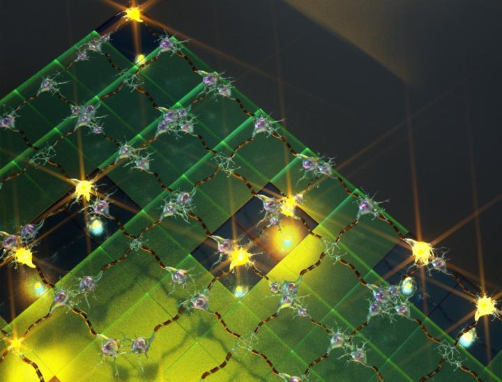 CAPTION This is an artist's concept of a neural network. CREDIT Illustration by Peter Allen CAPTION This is an artist's concept of a neural network. CREDIT Illustration by Peter Allen