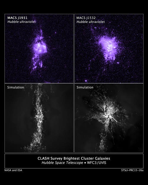 CAPTION Top: Actual Hubble observations of gas density in the central portion of two galaxies. Bottom: Computer simulations of knots of star formation in the two galaxies show how gas falling into a galaxy's center is controlled by jets from the central black hole. CREDIT Credits: NASA/ESA/M. Donahue/Y. Li CAPTION Top: Actual Hubble observations of gas density in the central portion of two galaxies. Bottom: Computer simulations of knots of star formation in the two galaxies show how gas falling into a galaxy's center is controlled by jets from the central black hole. CREDIT Credits: NASA/ESA/M. Donahue/Y. Li