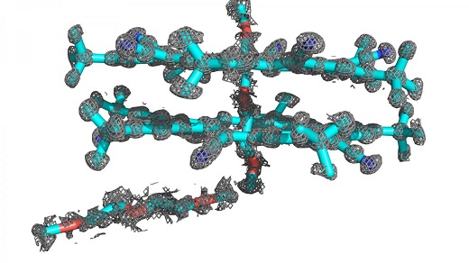 Researchers, led by a team from the Beckman Institute at the University of Illinois, combined the power of two computational programs to determine the atomic structure of the abiological molecule cyanostar. This breakthrough will allow researchers to investigate the structure of more abiological molecules, which are relatively unknown. Researchers, led by a team from the Beckman Institute at the University of Illinois, combined the power of two computational programs to determine the atomic structure of the abiological molecule cyanostar. This breakthrough will allow researchers to investigate the structure of more abiological molecules, which are relatively unknown.