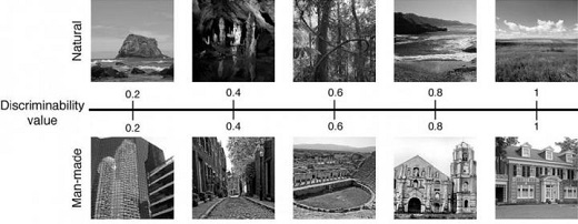 CAPTION Researchers trained a computational model to rate the ease of discriminating scenery categories, such as natural vs. man-made. That allowed them to test how people analyze what they see. CREDIT Serre lab/Brown University