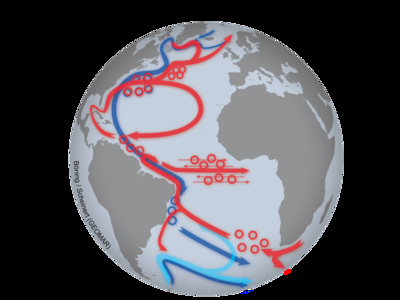 Schematic of surface (red) and deep (blue) currents in the Atlantic Ocean. Circles indicate regions where currents are strongly influenced by oceanic eddies. The dashed area between Canada and Greenland outlines the area in the Labrador Sea where strong winter cooling causes vertical mixing of the water column. Graphic: Böning / Scheinert (GEOMAR)