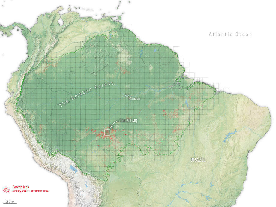Forest loss across the Amazon Forest loss across the Amazon
