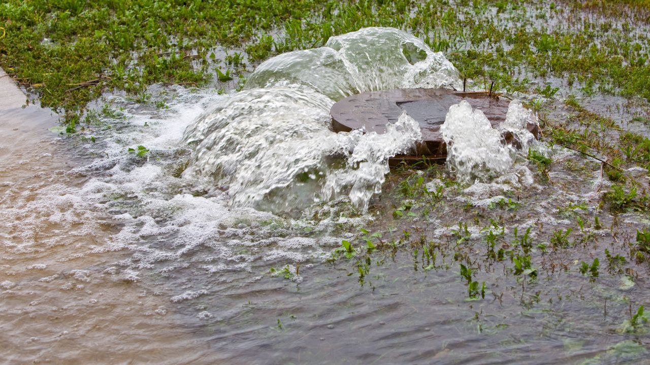 Uniting for a cleaner future: UK leads the way with cloud-based AI to reduce river pollution