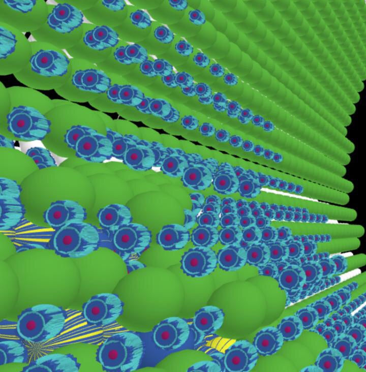 CAPTION This is an image of an artery with atherosclerotic plaque as illustrated using agent based modeling. Various white blood cells (blue and red) are adhered to the endothelial cells (green) based on bond affinity and blood hemodynamics. CREDIT Heather Hayenga