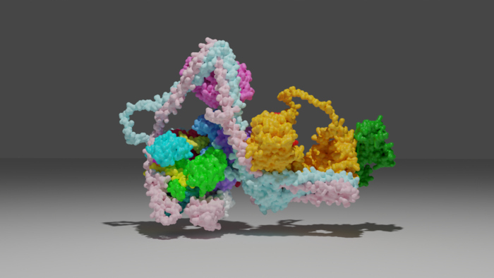 A 3D model of the Commander complex, a bundle of proteins that act as postal workers in cells.