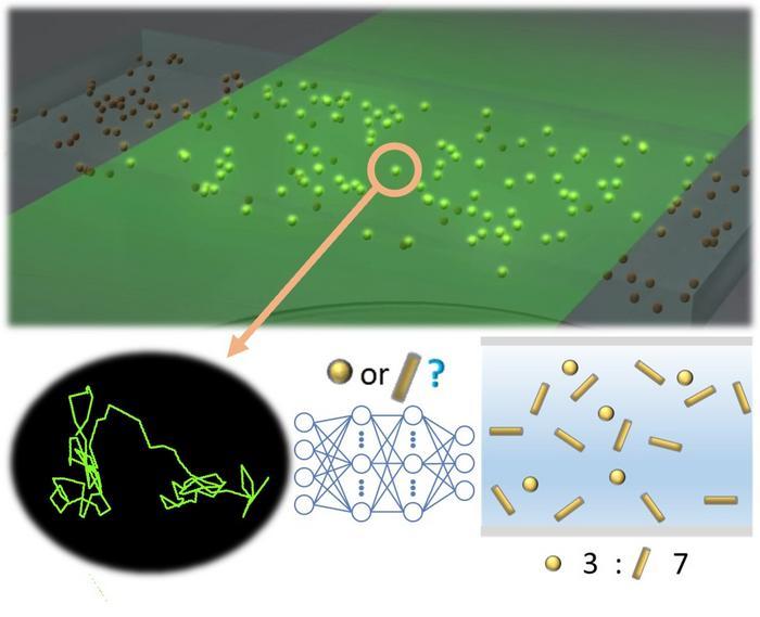 Scheme of shape prediction of nanoparticles using NTA + deep learning analysis Scheme of shape prediction of nanoparticles using NTA + deep learning analysis