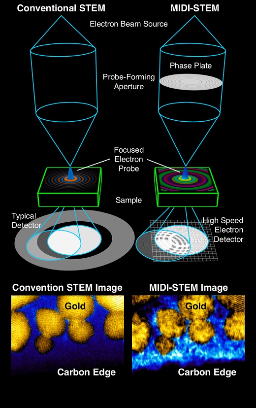 In MIDI-STEM (right), developed at Berkeley Lab, an electron beam travels through a ringed “phase plate,” producing a high-resolution image (bottom right) that provides details about a sample containing a heavy element (gold) and light element (carbon). Details about the carbon are missing in an image (bottom left) of the sample using a conventional electron imaging technique (ADF-STEM). (Colin Ophus/Berkeley Lab, Nature Communications: 10.1038/ncomms10719) In MIDI-STEM (right), developed at Berkeley Lab, an electron beam travels through a ringed “phase plate,” producing a high-resolution image (bottom right) that provides details about a sample containing a heavy element (gold) and light element (carbon). Details about the carbon are missing in an image (bottom left) of the sample using a conventional electron imaging technique (ADF-STEM). (Colin Ophus/Berkeley Lab, Nature Communications: 10.1038/ncomms10719)