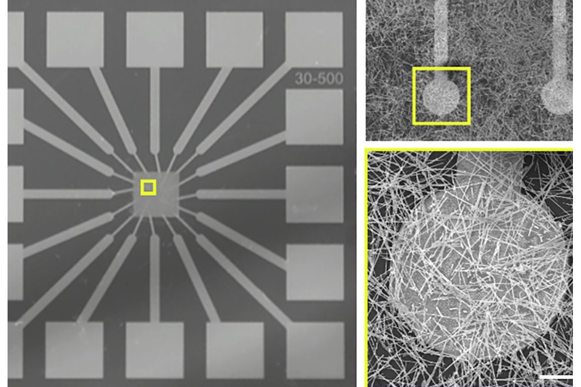The new platform technology, modeled after the brain, consists of a mesh of silver wires on a bed of electrodes. The new platform technology, modeled after the brain, consists of a mesh of silver wires on a bed of electrodes.