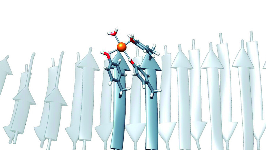 Illustration of the structure of the nanozymes obtained, with details on how the tyrosine amino acids (in red) coordinate the metal ions (in orange). Illustration of the structure of the nanozymes obtained, with details on how the tyrosine amino acids (in red) coordinate the metal ions (in orange).