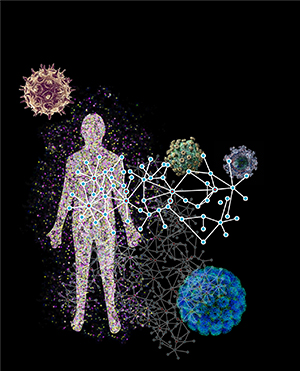 Researchers implement P-HIPSTer, an in silico computational framework that leverages protein structure information to identify approximately 282,000 protein-protein interactions across all fully-sequenced human-infecting viruses (1001 in all). This image highlights that in addition to rediscovering known biology, P-HIPSTer has yielded a series of new findings and enables discovery of a previously unappreciated universe of cellular circuits and biological principles that act on human-infecting viruses. (Image Courtesy of Dr. Sagi Shapira)