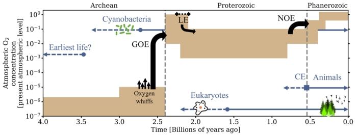 A rough outline of oxygen (O2) concentrations in Earth's atmosphere through time are illustrated in this figure. Brown blocks show the estimated range for O2 in terms of its present atmospheric level (which is 21% by volume). Grey-blue lines indicated various important events for the evolution of life, including the emergence of eukaryotes and animals. Black arrows refer to important events where atmospheric oxygen concentration changed. The Archean, Proterozoic, and Phanerozoic are geological eons. GOE = Great Oxidation Event; NOE = Neoproterozoic Oxidation Event; CE = Cambrian Explosion; LE = Lomagundi Excursion. credit Gregory Cooke