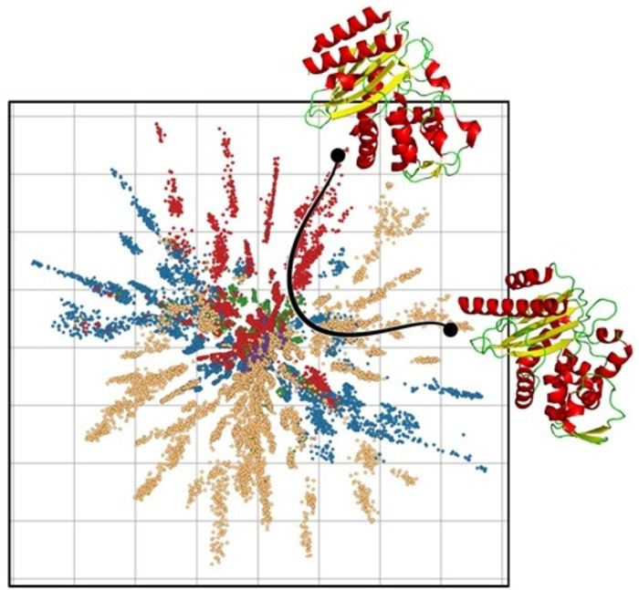 The illustration depicts an example of the shortest path between two proteins, considering the geometry of the graphing. By defining distances in this way, it is possible to achieve biologically more precise and robust conclusions.(Credit: W. Boomsma, N. S. Detlefsen, S. Hauberg)  CREDIT Credit: W. Boomsma, N. S. Detlefsen, S. Hauberg.