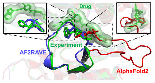 University of Maryland researchers found that AlphaFold 2 is ineffective for drug design as it clashes with a widely used cancer drug, while the AF2RAVE method aligns accurately with the drug's experimental pose. University of Maryland researchers found that AlphaFold 2 is ineffective for drug design as it clashes with a widely used cancer drug, while the AF2RAVE method aligns accurately with the drug's experimental pose.