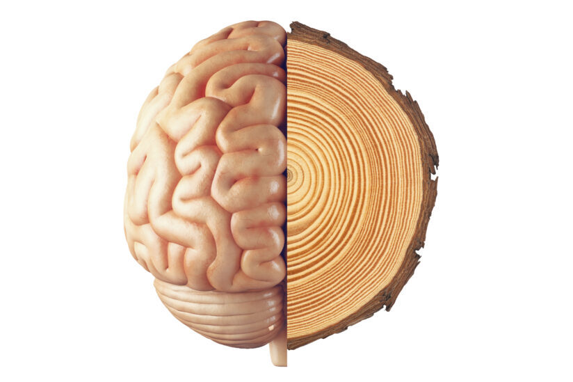 A new artificial intelligence model could be used to accurately capture cognitive decline linked to neurodegenerative diseases much earlier than previous methods. (Illustration/iStock) A new artificial intelligence model could be used to accurately capture cognitive decline linked to neurodegenerative diseases much earlier than previous methods. (Illustration/iStock)
