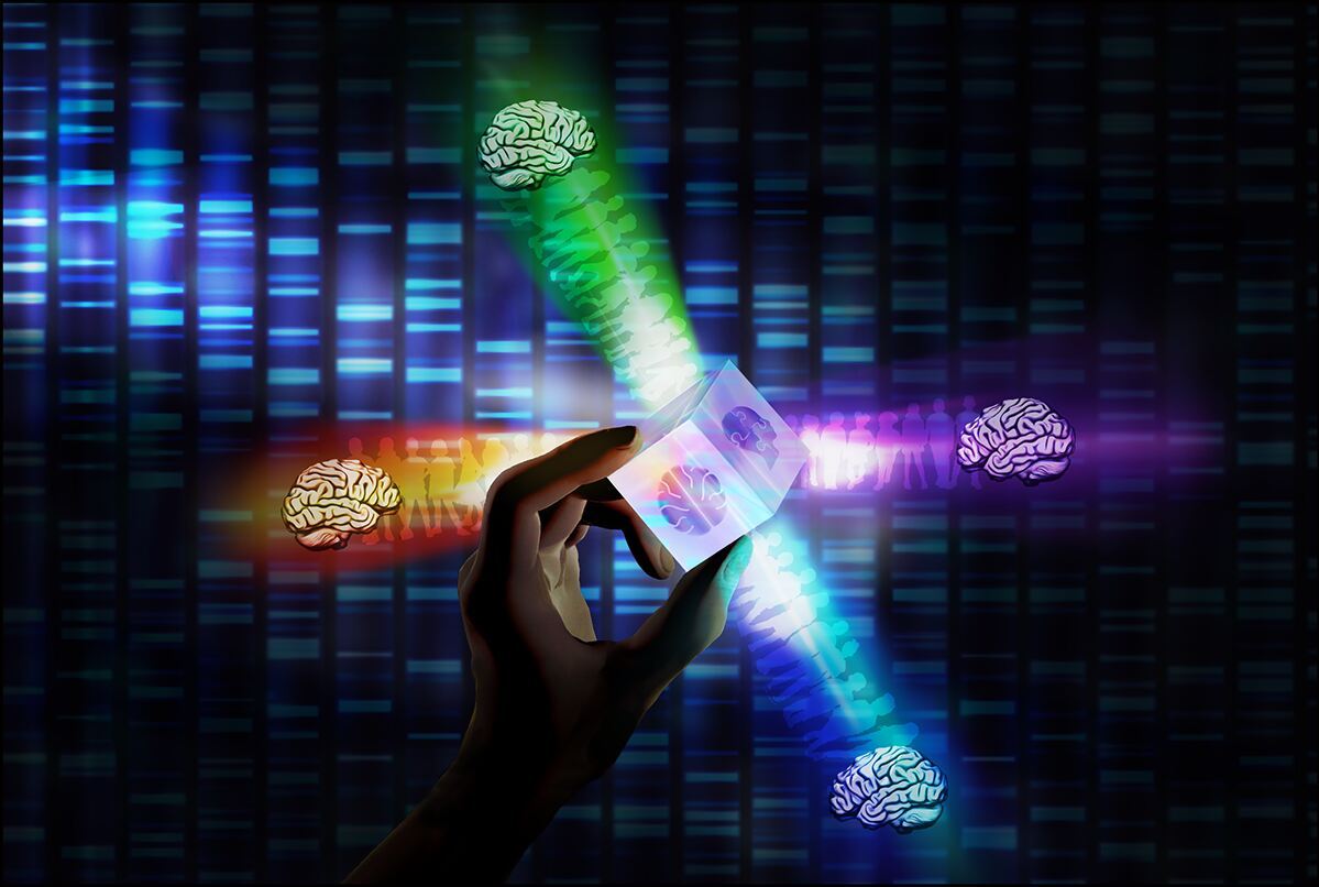 Machine learning of brain-behavior dimensions reveals four subtypes of autism spectrum disorder linked to distinct molecular pathways. Here, the 3D prism cube represents the machine learning of the three brain-behavior dimensions, etched onto the prism's glass. White light or “data” passes into the prism or "machine learning algorithm," splitting into four colored light paths that represent the spectrum of autistic people in the four autism subtypes. The painted background of a sequencing array represents the molecular associations of the autism subtypes. Credit: Dr. Amanda Buch