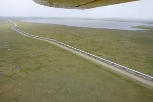 Oil pipeline crosses the tundra (Photo: Guido Grosse)