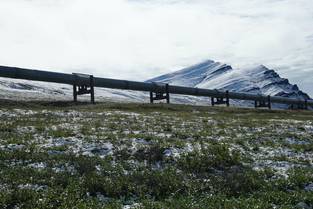 Pipeline in Alaska (Photo: Moritz Langer) Pipeline in Alaska (Photo: Moritz Langer)