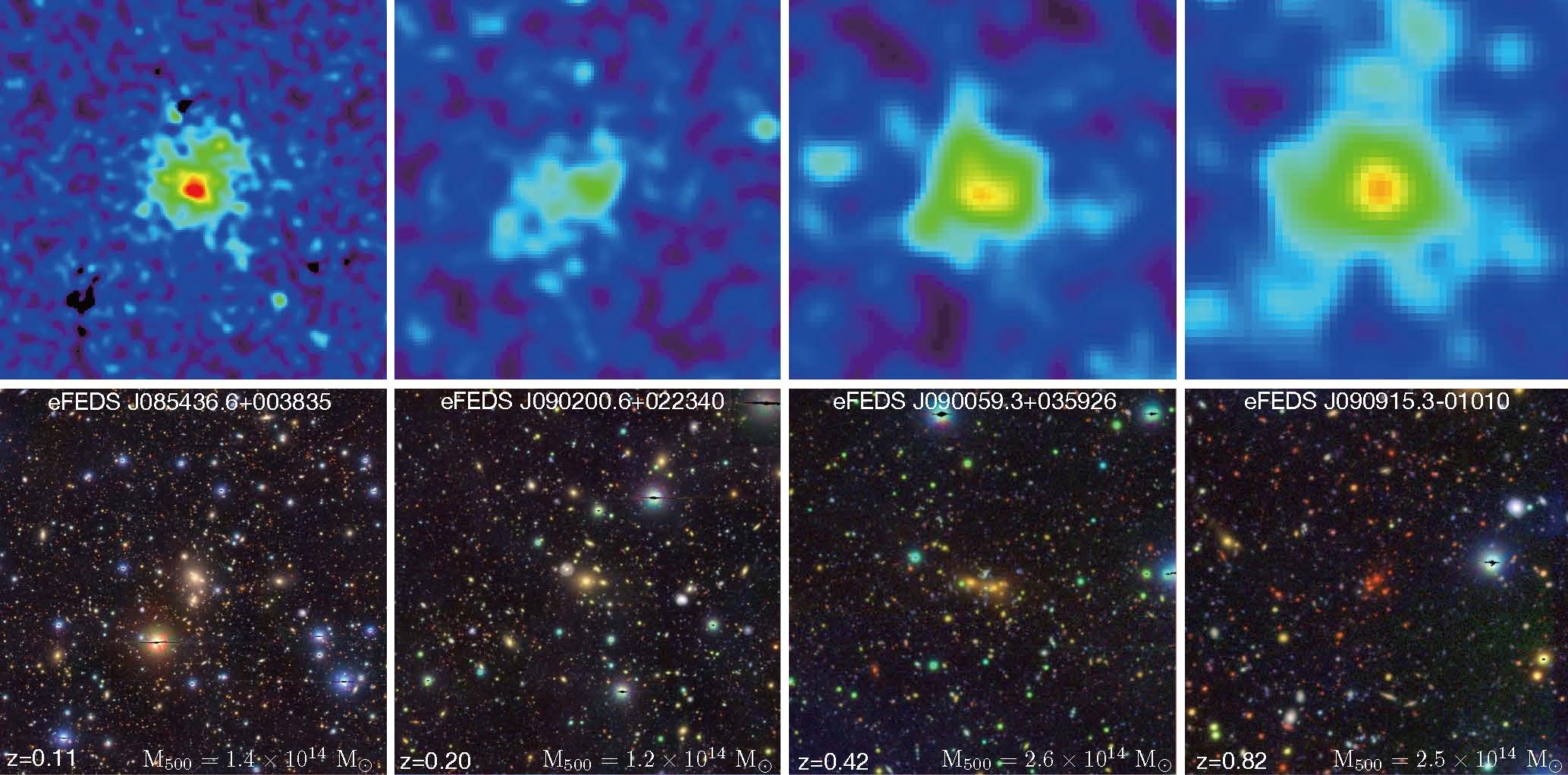 Three eFEDS clusters are shown across the panels from left to right. The top (bottom) row shows the X-ray (optical) imaging of the cluster observed by the eROSITA telescope (HSC survey). The cluster name, mass, and the redshift are labeled in the optical imaging on the bottom row. By combining optical and X-ray imaging, we can efficiently search for galaxy clusters and measure their masses at the same time. Image courtesy: Dr. Matthias Klein. Three eFEDS clusters are shown across the panels from left to right. The top (bottom) row shows the X-ray (optical) imaging of the cluster observed by the eROSITA telescope (HSC survey). The cluster name, mass, and the redshift are labeled in the optical imaging on the bottom row. By combining optical and X-ray imaging, we can efficiently search for galaxy clusters and measure their masses at the same time. Image courtesy: Dr. Matthias Klein.