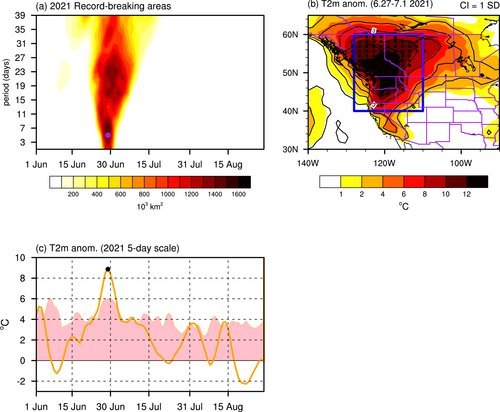 Spatial-temporal evolutions of the 2021 Western North America (WNA) heatwave in the observation. (a) Temporal variations of the spatial extent (shading, SI = 100 × 103 km2) of land areas over WNA that experience record-breaking temperature anomalies at different time scales. The purple dot indicates the date and time scale with the maximum record-breaking areas (i.e., June 29 at the 5-day time scale). (b) 2-m air temperature anomalies (shading, unit: °C; relative to 1981–2010) at the 5-day time scale centered on 29 June 2021. Contour lines [contour interval (CI) = 1 SD] indicate the normalized 2-m temperature, defined as the anomalies divided by the corresponding standard deviation among all summer days in 1981–2010. The black points highlight the record-breaking grids. The blue rectangle represents the region over WNA (40°–60°N, 128°–110°W), and the purple lines represent the Canadian and U.S. states' boundaries. (c) The daily evolution of the area-mean 2-m temperature anomalies (orange line) over WNA at the 5-day time scale in the June-August of 2021. The pink shading indicates the historical maximum temperature anomalies at the 5-day time scale on each summer day from 1950 to 2020. The black dot represents the temperature anomaly on 29 June 2021.