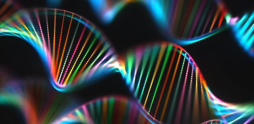 Illustration of DNA molecules Credit: KTSDESIGN/SCIENCE PHOTO LIBRARY via Getty Images Illustration of DNA molecules Credit: KTSDESIGN/SCIENCE PHOTO LIBRARY via Getty Images