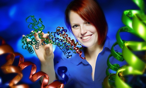 Medical practitioners and biologists profit from computer graphics fast computer algorithms. They are enabling them to analyse complex cellular processes. Foto: bellhäuser - das bilderwerk