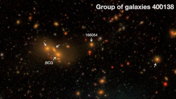 Light 'between' the galaxies – the 'intra-group light' – however dim, is radiated from stars stripped from their home galaxy. Image: Supplied.