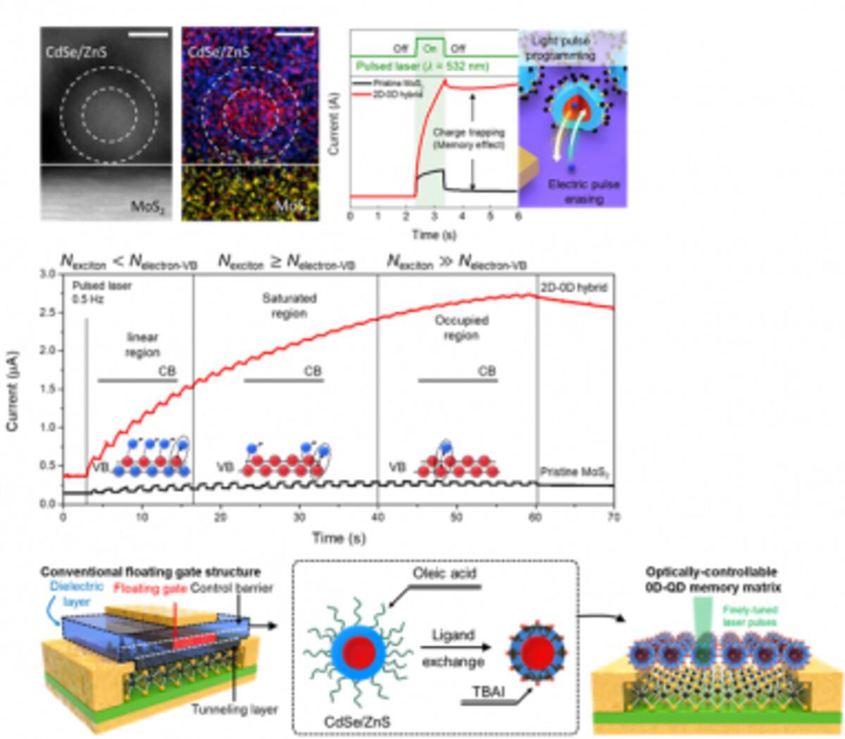 Electron micrographs of the 2D-0D hybrid surface implemented in this study (top left), memory characteristics generated by light pulses (top right), and polynomial memory characteristics generated by multiple light pulses (bottom). Electron micrographs of the 2D-0D hybrid surface implemented in this study (top left), memory characteristics generated by light pulses (top right), and polynomial memory characteristics generated by multiple light pulses (bottom).