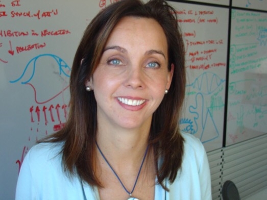 CAPTION Jones led a team that has posited a new theory of how beta rhythms arise in the brain, backed by evidence from humans, animal models and supercomputer simulation. CAPTION Jones led a team that has posited a new theory of how beta rhythms arise in the brain, backed by evidence from humans, animal models and supercomputer simulation.