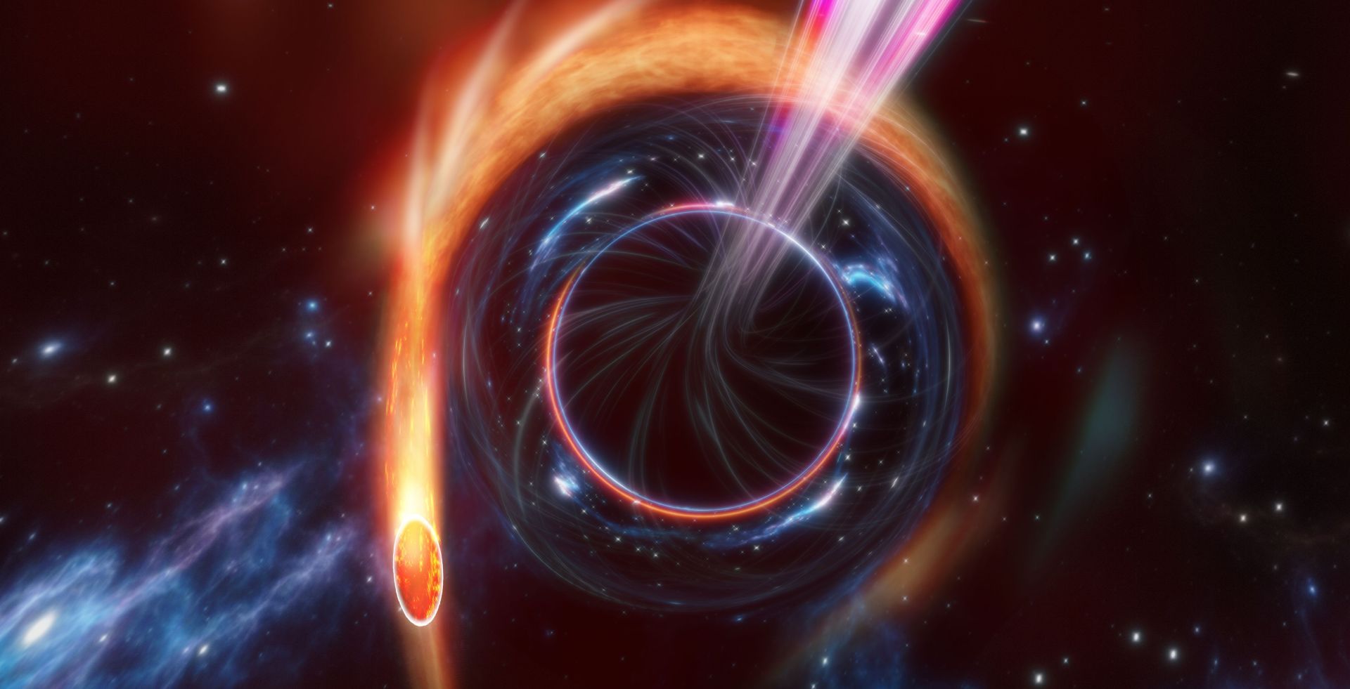 A star is being consumed by a nearby supermassive black hole. Astronomers call this a tidal disruption event (TDE). What makes this TDE a very rare TDE is that as the black hole rips apart the star, two jets of material moving with almost the speed of light are launched in opposite directions producing light in all wavelengths. Such jetted-TDEs are extremely rare and AT2022cmc, depicted here is the first one discovered with an optical telescope. Image credit: Carl Knox (OzGrav, ARC Centre of Excellence for Gravitational Wave Discovery, Swinburne University of Technology) A star is being consumed by a nearby supermassive black hole. Astronomers call this a tidal disruption event (TDE). What makes this TDE a very rare TDE is that as the black hole rips apart the star, two jets of material moving with almost the speed of light are launched in opposite directions producing light in all wavelengths. Such jetted-TDEs are extremely rare and AT2022cmc, depicted here is the first one discovered with an optical telescope. Image credit: Carl Knox (OzGrav, ARC Centre of Excellence for Gravitational Wave Discovery, Swinburne University of Technology)