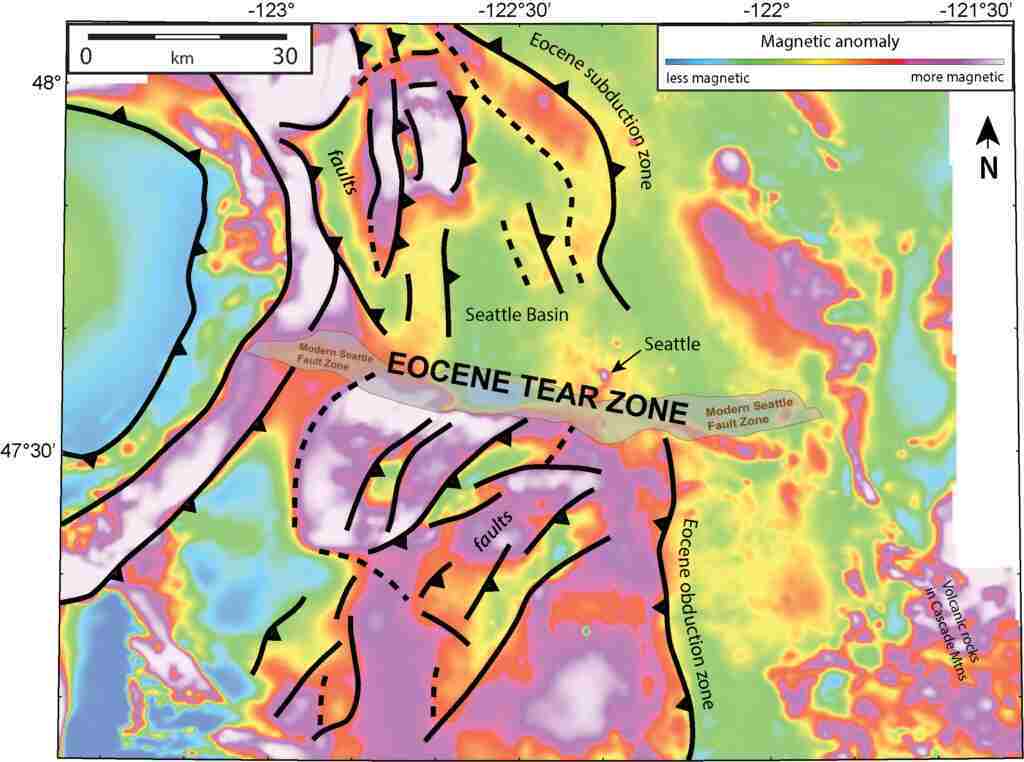 The background colors in the aerially collected magnetic data of western Washington show that faults on either side of the modern Seattle fault are oriented in different directions. This suggests a significant disconnect between the north and south. A new Tectonics study suggests that a massive tear could have formed between subducting and obducting material due to the strain. The black lines in the image represent the faults. The credit for the image goes to Anderson et al./Tectonics, which has been modified. The background colors in the aerially collected magnetic data of western Washington show that faults on either side of the modern Seattle fault are oriented in different directions. This suggests a significant disconnect between the north and south. A new Tectonics study suggests that a massive tear could have formed between subducting and obducting material due to the strain. The black lines in the image represent the faults. The credit for the image goes to Anderson et al./Tectonics, which has been modified.