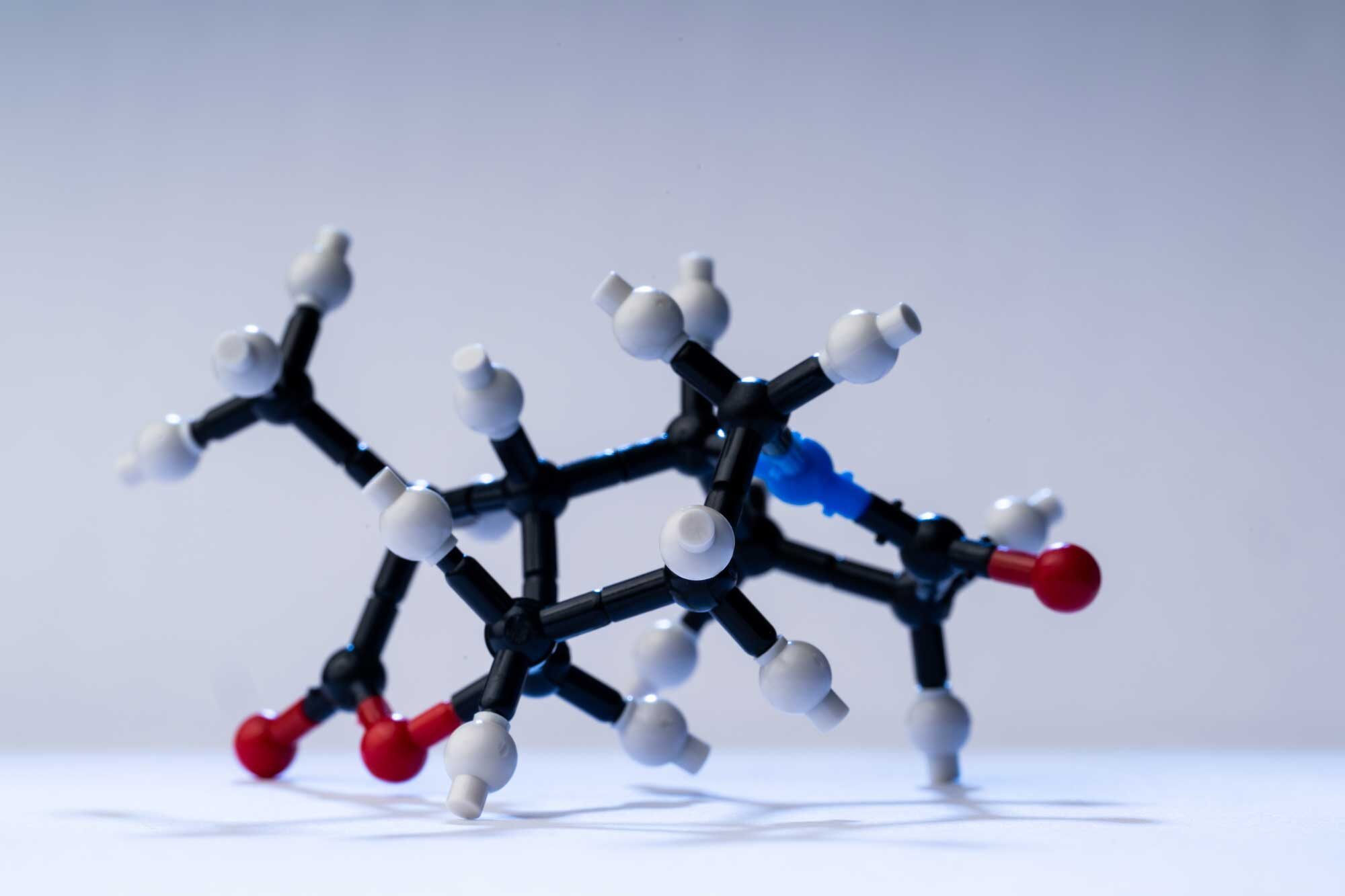 Replica of the complex molecule, stemoamide, built in mere three steps in Tim Cernak’s Lab. Image credit: Austin Thomason, Michigan Photography