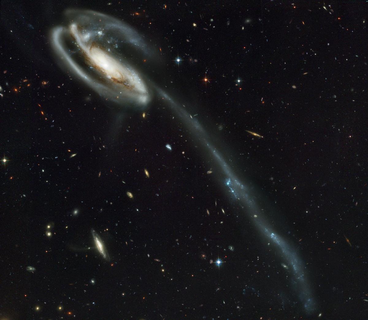 An optical image of the "Tadpole" galaxy, an interacting galaxy, taken by the Hubble Space Telescope. Material stripped from the galaxy during its collision with a smaller galaxy (seen in the upper left corner of the larger interaction partner) forms a long tidal tail. Young blue stars, star clusters and tidal dwarf galaxies are born in these tidal debris. These objects move in a common direction within a plane defined by the orientation and motion of their tidal tail. A similar galaxy interaction might have occurred in the Local Group in the past, which could explain the distribution of dwarf galaxies in co-rotating planes. Credit: NASA, Holland Ford (JHU), the ACS Science Team and ESA An optical image of the "Tadpole" galaxy, an interacting galaxy, taken by the Hubble Space Telescope. Material stripped from the galaxy during its collision with a smaller galaxy (seen in the upper left corner of the larger interaction partner) forms a long tidal tail. Young blue stars, star clusters and tidal dwarf galaxies are born in these tidal debris. These objects move in a common direction within a plane defined by the orientation and motion of their tidal tail. A similar galaxy interaction might have occurred in the Local Group in the past, which could explain the distribution of dwarf galaxies in co-rotating planes. Credit: NASA, Holland Ford (JHU), the ACS Science Team and ESA